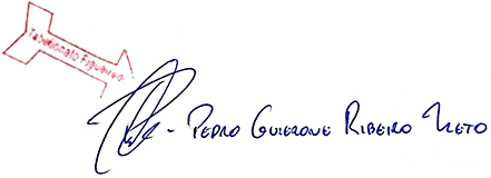 Signature of the Director of the Virtual Office Lisbon Service